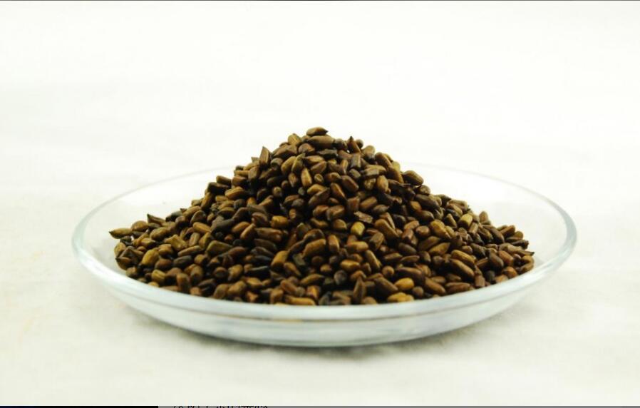 决明子的功效与作用及禁忌 决明子的功效与作用及禁忌