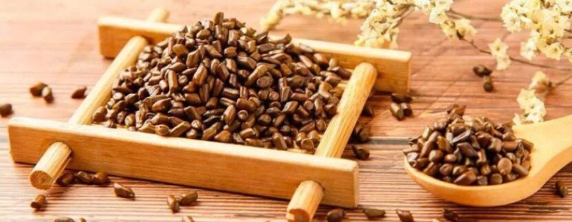 决明子桑叶茶的功效 决明子桑叶茶的功效