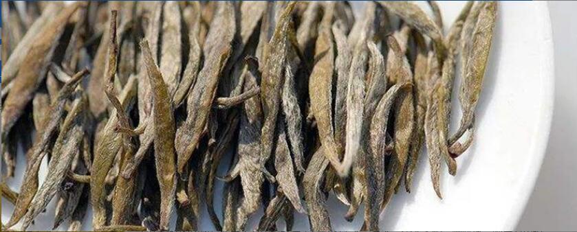 君山银针茶的功效与作用 君山银针茶的功效与作用