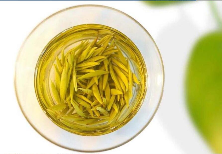 君山银针茶的功效与作用 君山银针茶的功效与作用