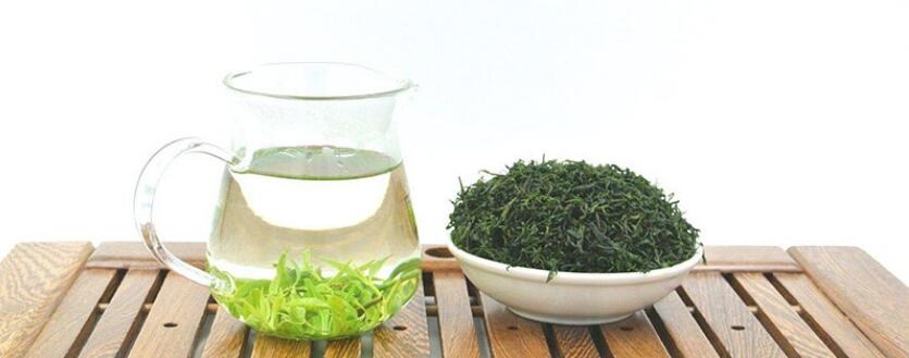 苦丁茶有什么作用和功效小叶 苦丁茶有什么作用和功效小叶