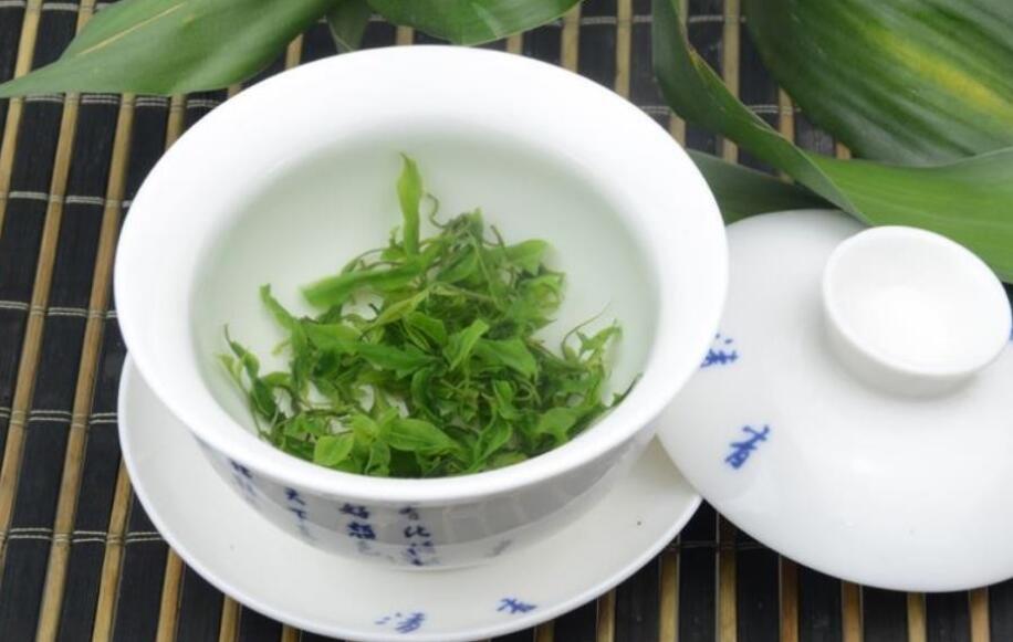 苦丁茶有什么作用和功效小叶 苦丁茶有什么作用和功效小叶