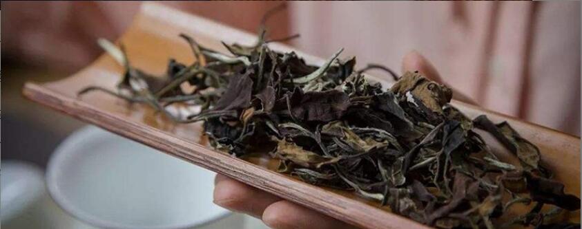 老白茶的功效有哪些 老白茶的功效有哪些