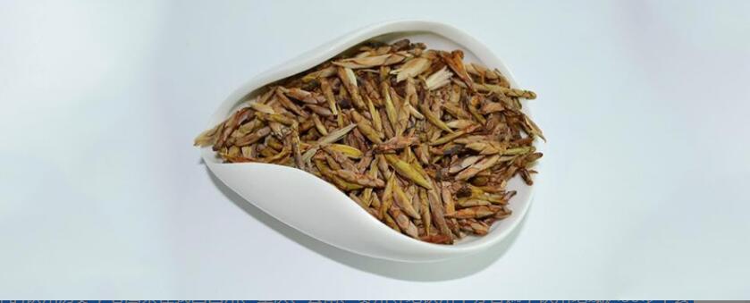 老鹰茶的功效 老鹰茶的功效