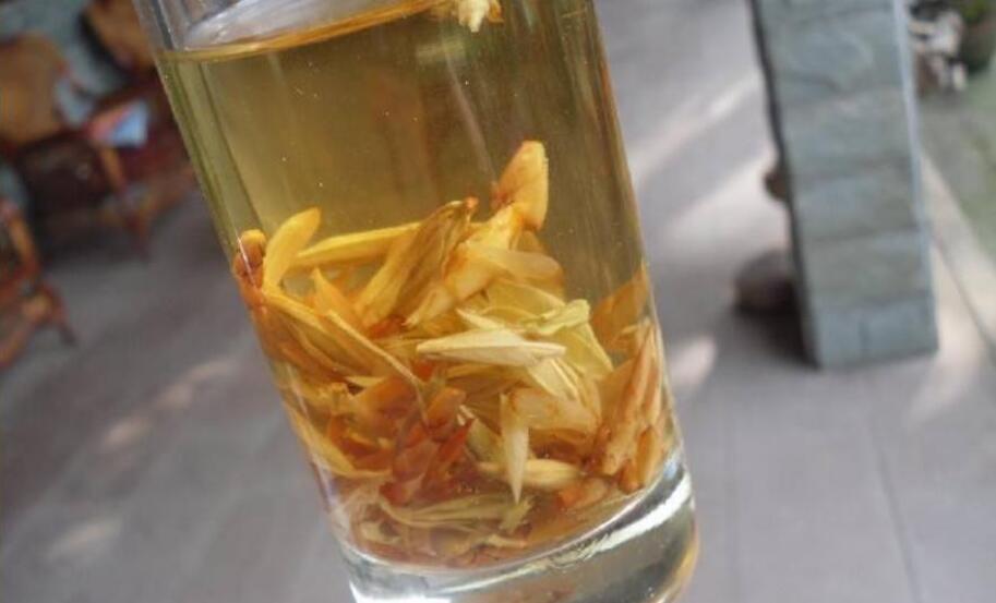 老鹰茶的功效 老鹰茶的功效