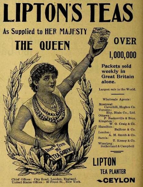 立顿红茶的功效与作用 立顿红茶的功效与作用