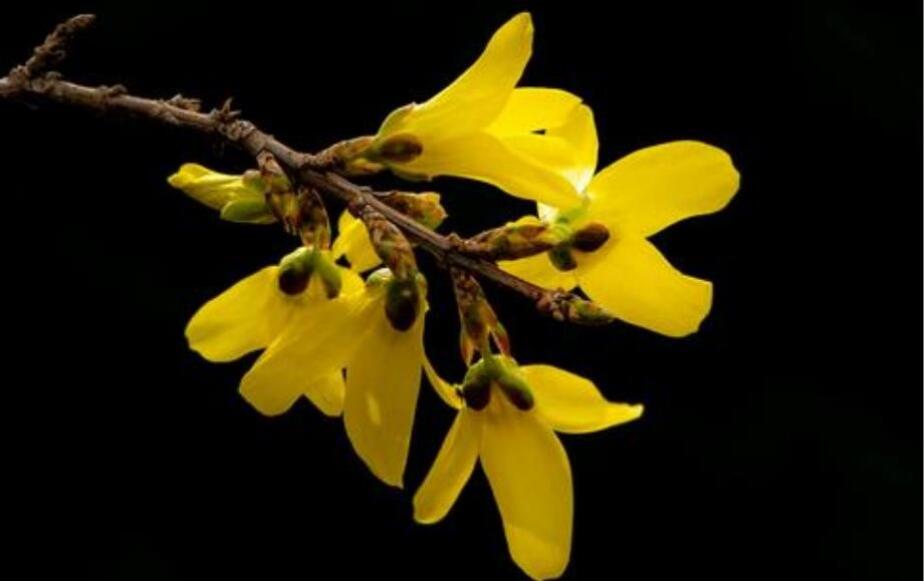 ���̻���ˮ�ȵĹ�Ч������