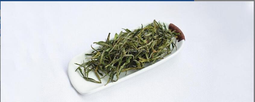 绿茶对胃有好处吗 绿茶对胃有好处吗