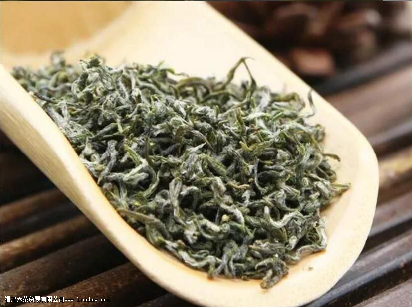 毛尖属于什么茶有什么功效 毛尖属于什么茶有什么功效