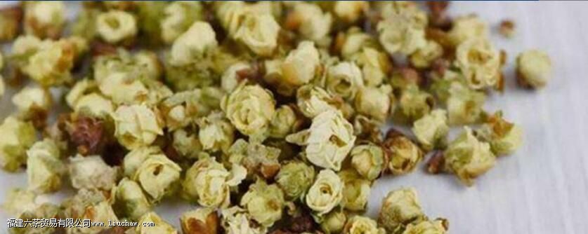 梅花茶的功效与禁忌 梅花茶的功效与禁忌