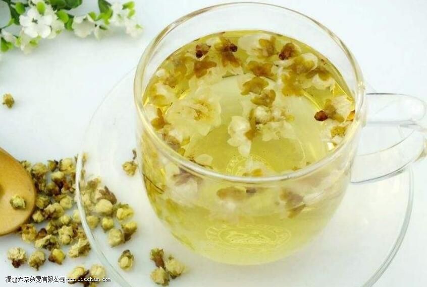 梅花茶的功效与禁忌 梅花茶的功效与禁忌