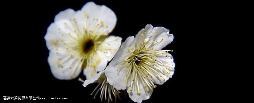 ÷����Ĺ�Ч������