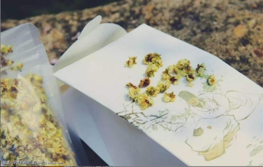 ÷����Ĺ�Ч������