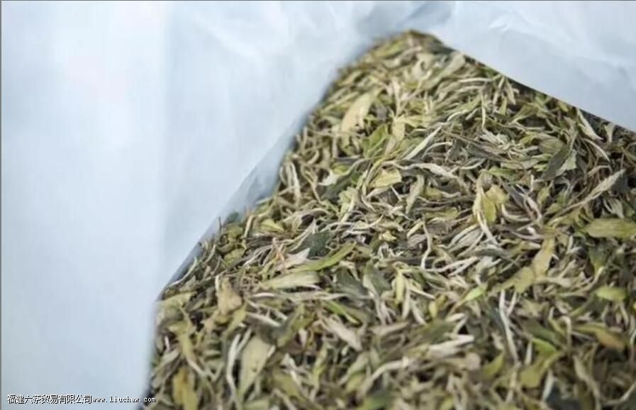 每天喝茶水对身体有什么影响 每天喝茶水对身体有什么影响