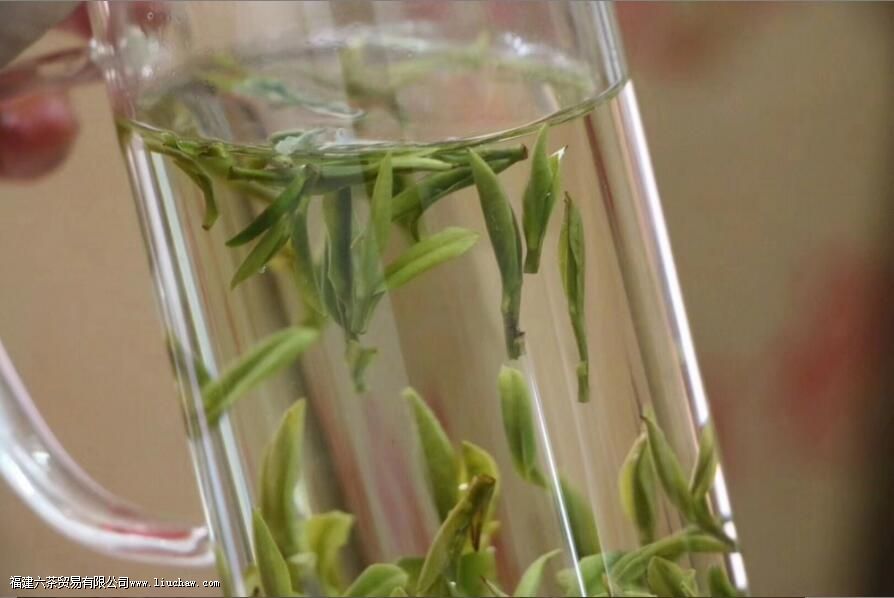 明前茶喝对身体有好处吗 明前茶喝对身体有好处吗