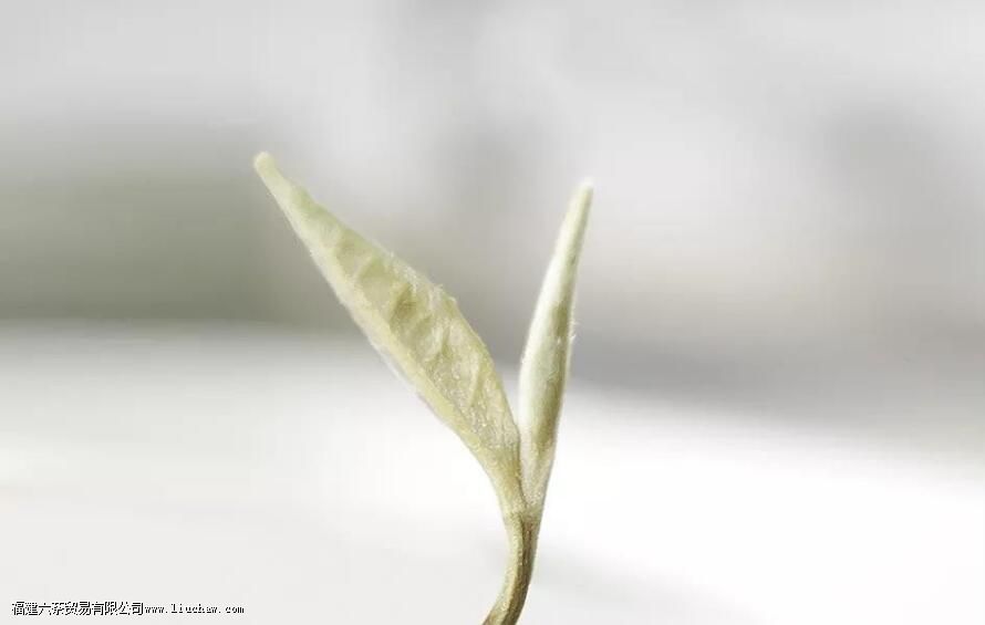 ���򻨲����������