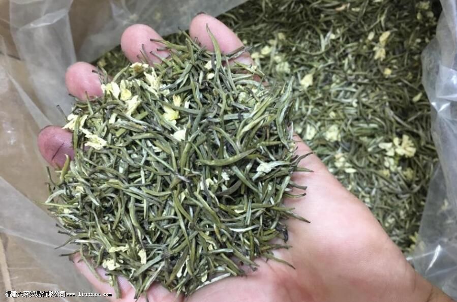 茉莉花茶提神吗 茉莉花茶提神吗