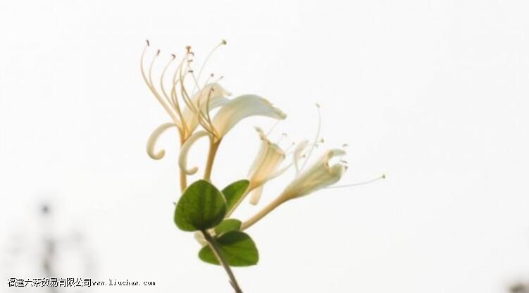 ��Щ�����������ã�