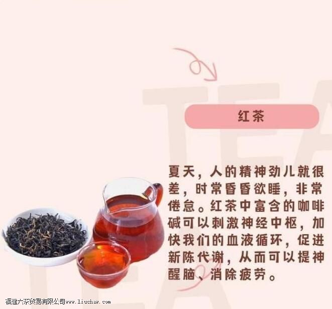 ���������ʺϺ�ʲô��