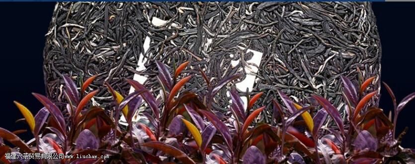 女人喝紫鹃茶的功效 女人喝紫鹃茶的功效