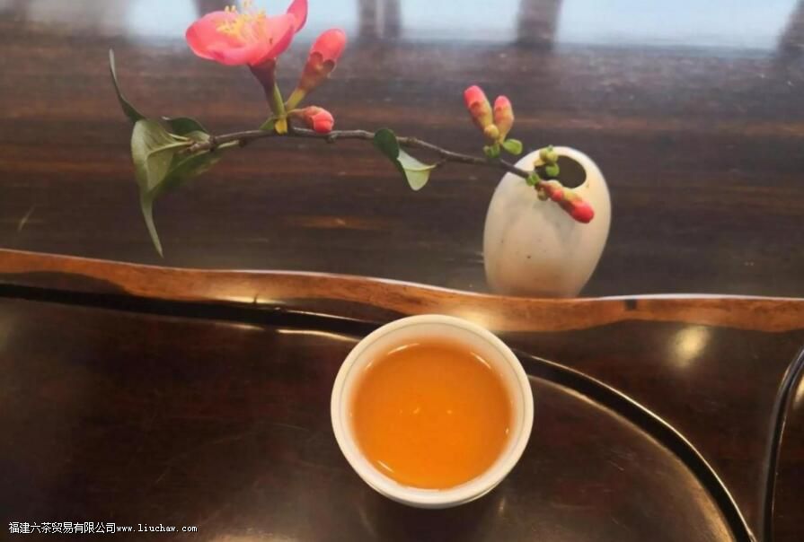 女生每天喝茶对身体有害吗 女生每天喝茶对身体有害吗