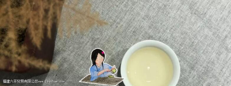 女性喝白茶的好处和坏处 女性喝白茶的好处和坏处