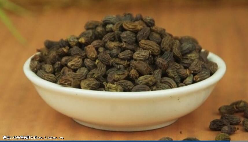 女贞子黄芪枸杞能长期泡茶吗 女贞子黄芪枸杞能长期泡茶吗