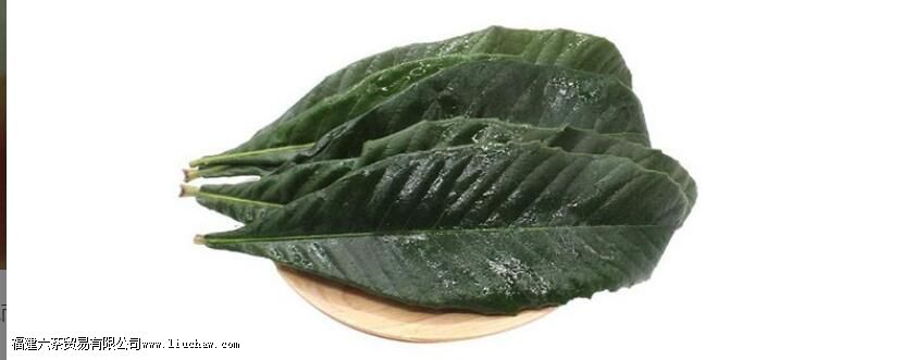 枇杷树叶子煮水喝的功效 枇杷树叶子煮水喝的功效