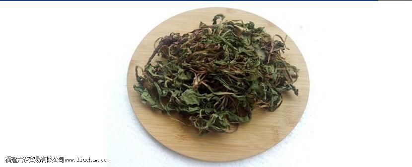 蒲公英茶的功效与作用及禁忌泡水喝的功效 蒲公英茶的功效与作用及禁忌泡水喝的功效