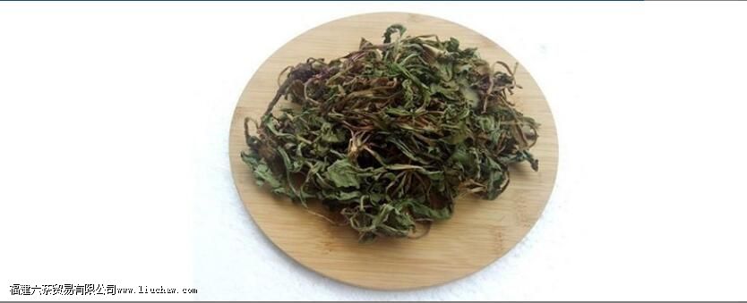 蒲公英苦丁茶的功效与作用 蒲公英苦丁茶的功效与作用