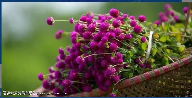 ǧ�պ컨��Ĺ�Ч��������ʲô��