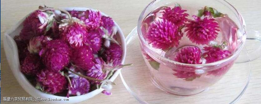 千日红泡水喝的功效 千日红泡水喝的功效