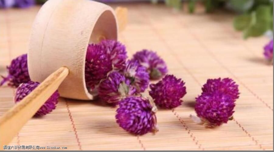 千日红泡水喝的功效 千日红泡水喝的功效