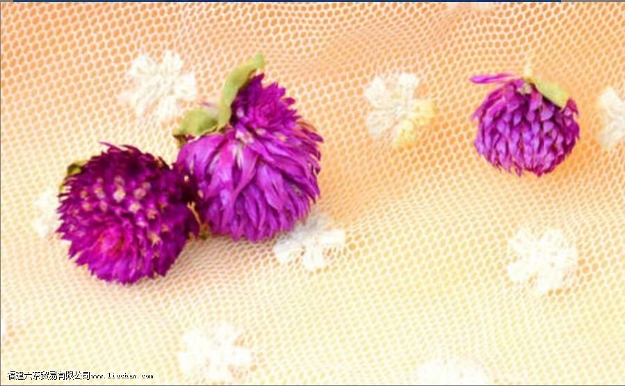 千日红泡水喝的功效 千日红泡水喝的功效