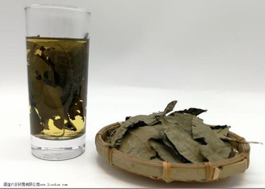 ��Ǯ��Ҷ����ʲô��Ч