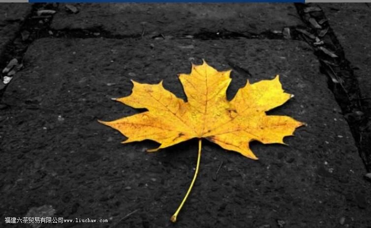 秋分养生吃什么食物好 秋分养生吃什么食物好