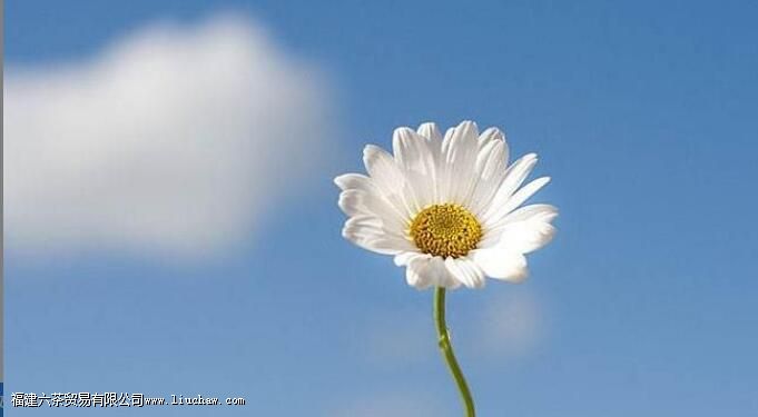 秋分养生吃什么食物好 秋分养生吃什么食物好