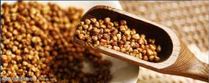 三匠苦荞茶的功效 三匠苦荞茶的功效