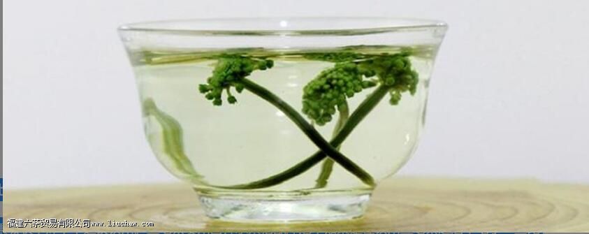 ���߲�Ĺ�Ч�����