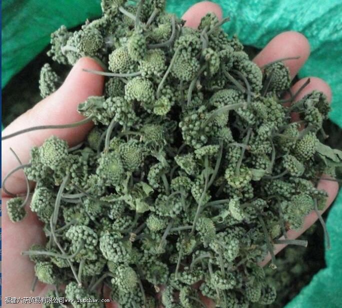 ���߲�Ĺ�Ч�����