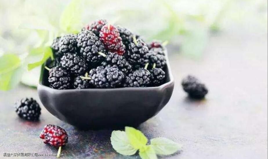 桑葚的功效与作用及禁忌症 桑葚的功效与作用及禁忌症