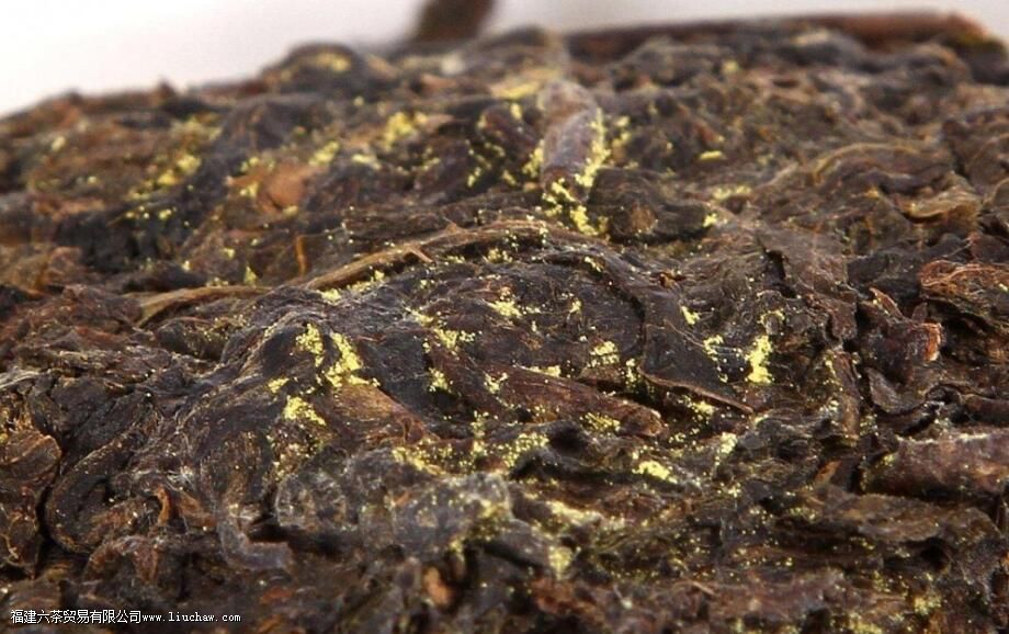 陕西茯茶功效 陕西茯茶功效