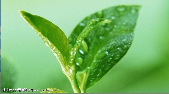 �����Ĺ�Ч������