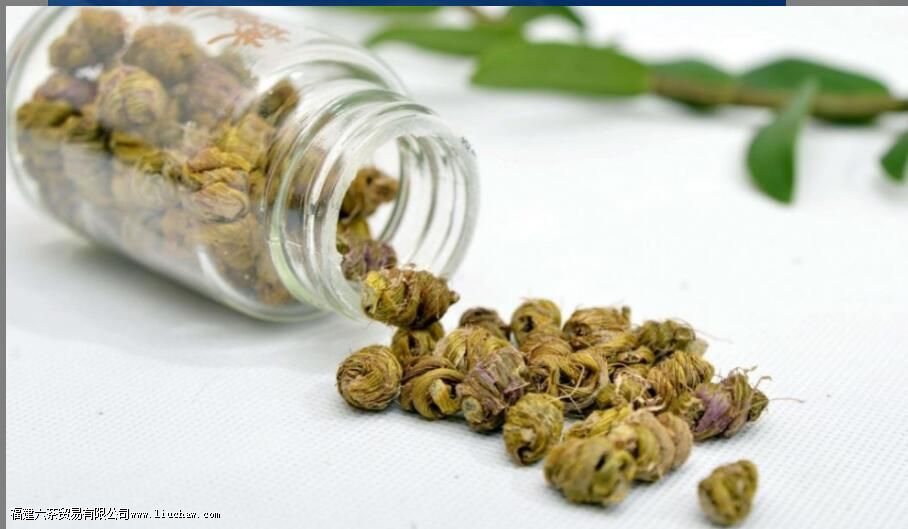 石斛茶的功效与作用及食用方法 石斛茶的功效与作用及食用方法