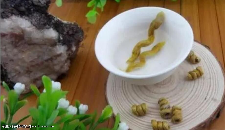 石斛的作用与功效禁忌 石斛的作用与功效禁忌