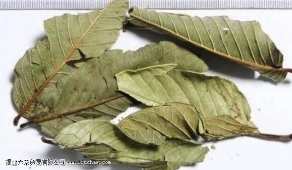 石榴叶的功效与作用 石榴叶的功效与作用