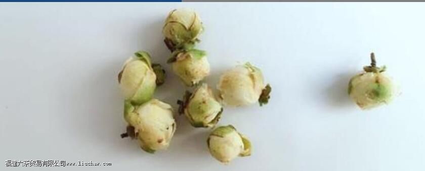 天山雪莲花茶的功效与作用及禁忌 天山雪莲花茶的功效与作用及禁忌