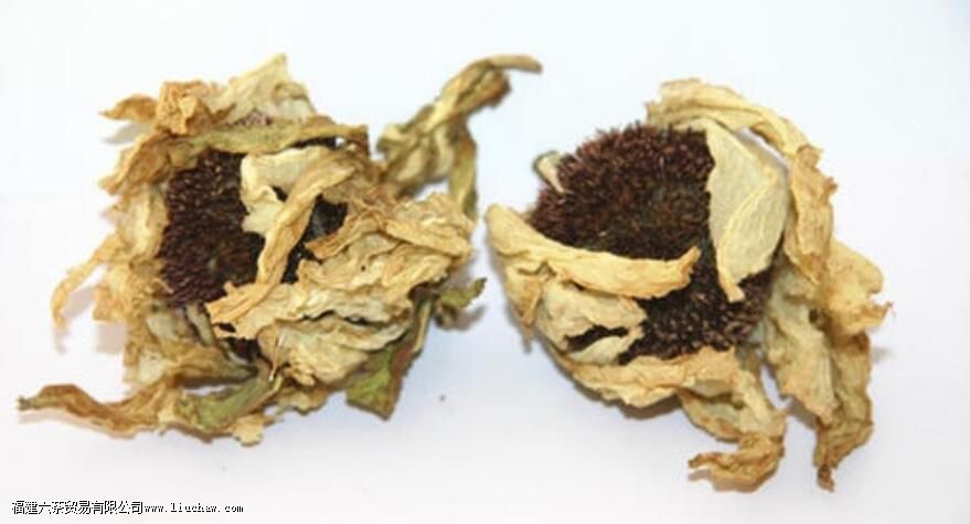 天山雪莲花茶的功效与作用及禁忌 天山雪莲花茶的功效与作用及禁忌