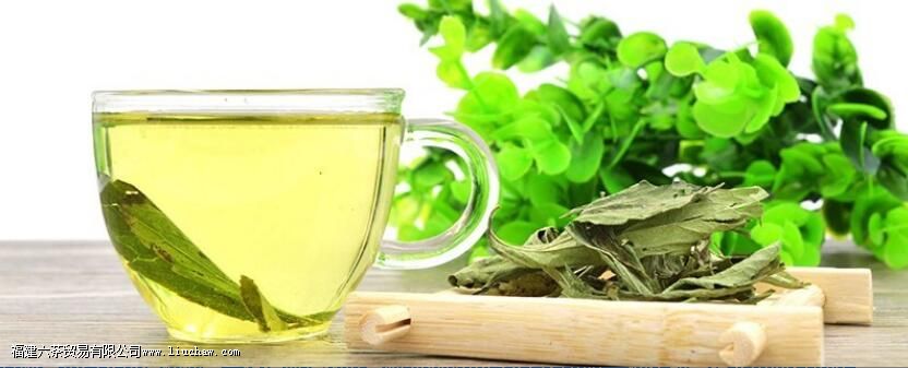 甜叶菊的功效 甜叶菊的功效