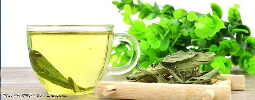 甜叶菊泡水喝的功效 甜叶菊泡水喝的功效